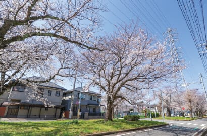 花園グリーンベルト