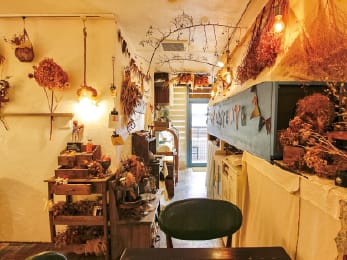 cafe tento