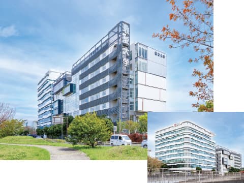 敬愛大学
