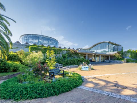 BOTANICA MUSEUM
