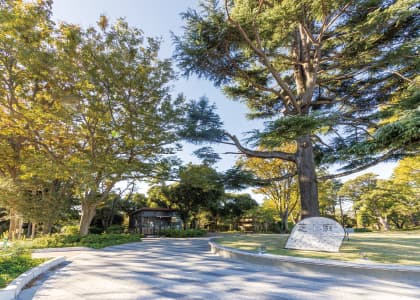 千葉公園