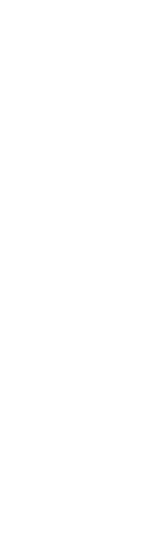 気品　家族の時間を彩る　柔らかな光の空間